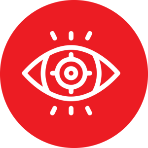 Vision